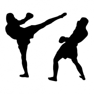 kickboxing